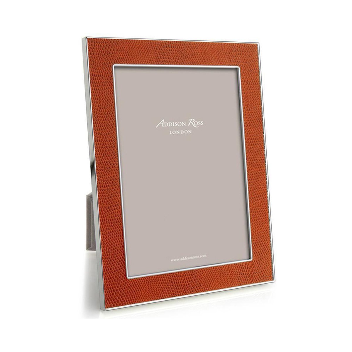 Snake & Silver Frame