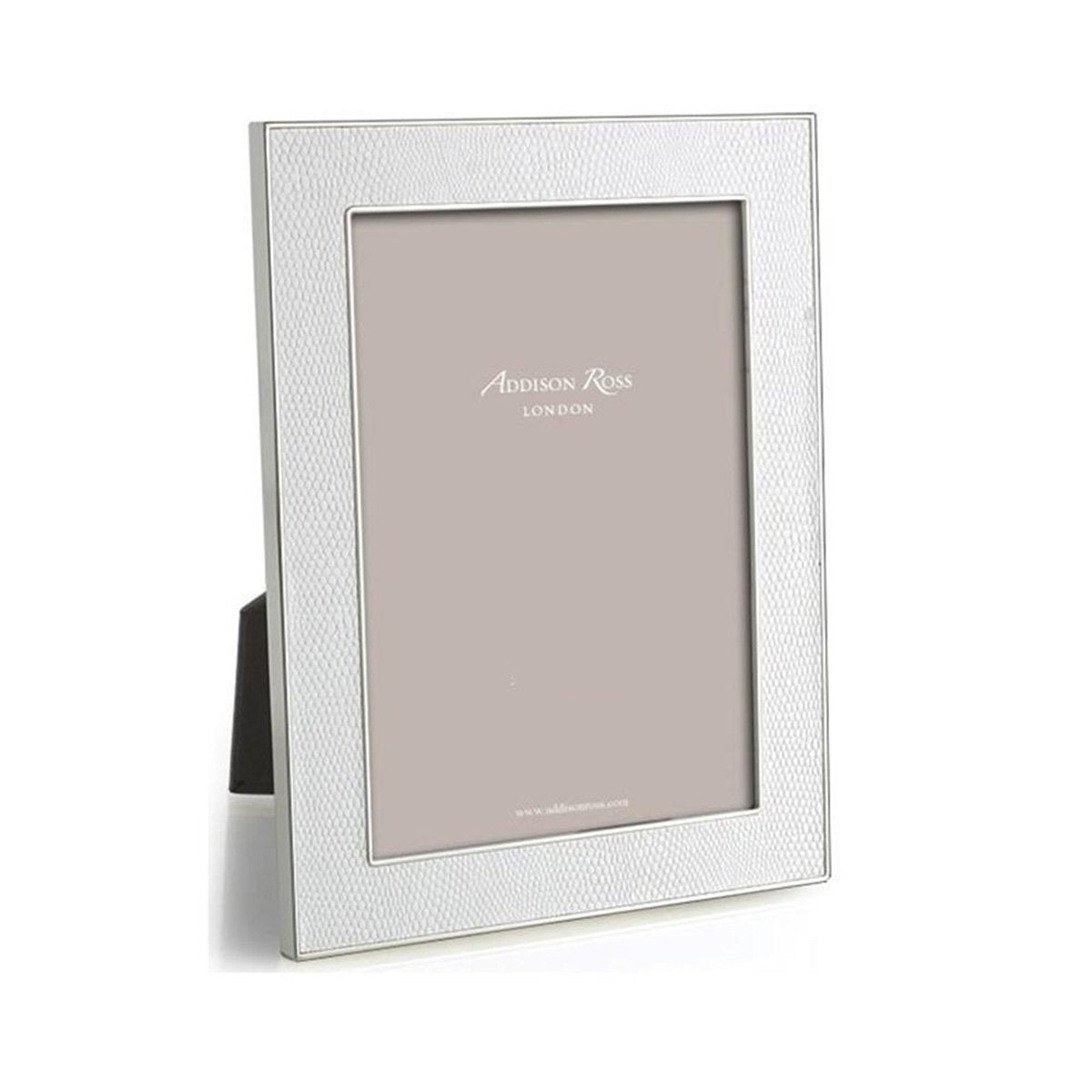 Snake & Silver Frame